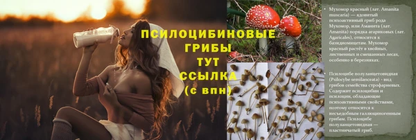сатива Остров