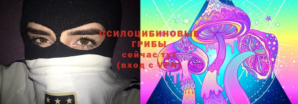 ALPHA PVP Осинники