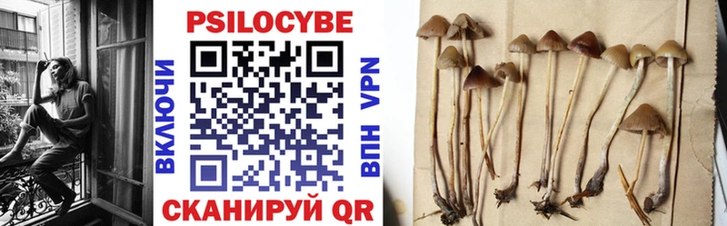 Галлюциногенные грибы Cubensis  Переславль-Залесский 