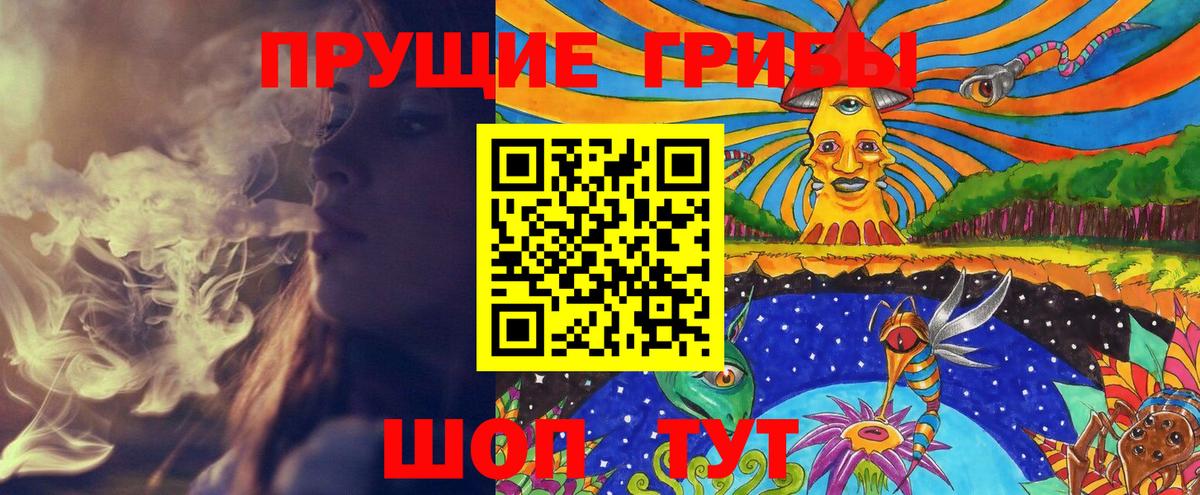 Галлюциногенные грибы мухоморы Переславль-Залесский